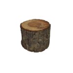 TRONCO DE MADEIRA NATURAL P