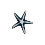 ESTRELA DO MAR VERDE E BRANCA G - CERÂMICA