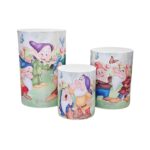 TRIO DE CAPAS PARA CILINDRO ANÕES P M G